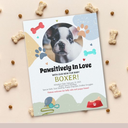 新しい子犬のアナウンスカード 案内状