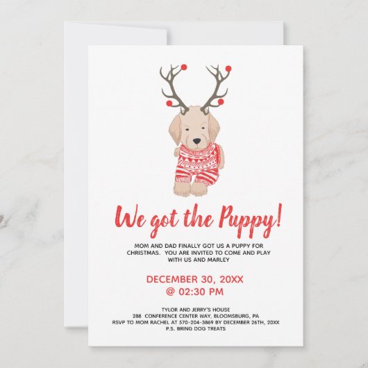 新しい子犬のクリスマスキッズパーティー再生 招待状 (正面)