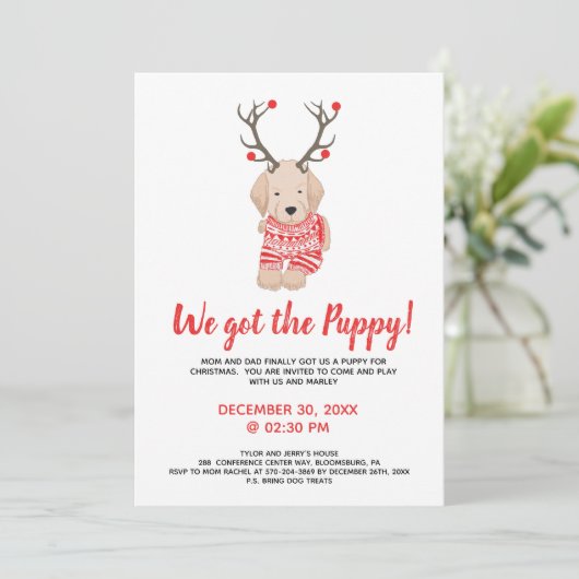 新しい子犬のクリスマスキッズパーティー再生 招待状 (スタンド正面)