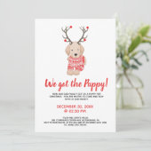 新しい子犬のクリスマスパーティーキッズプレイ日 招待状 (スタンド正面)