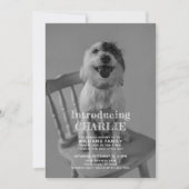 新しい子犬の写真の採用のお知らせ 招待状 (正面)