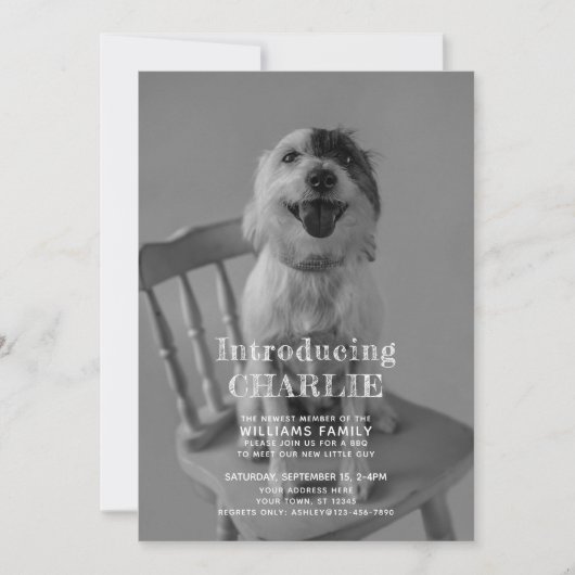 新しい子犬の写真の採用のお知らせ 招待状 (正面)