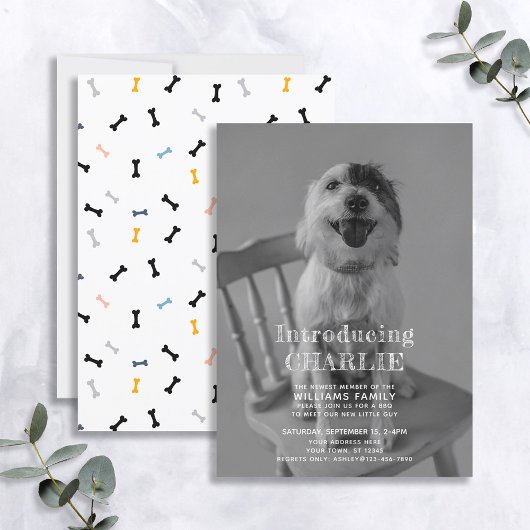 新しい子犬の写真の採用のお知らせ 招待状