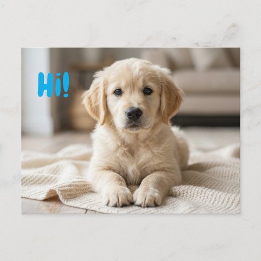 新しい子犬の写真発表 ポストカード (正面)