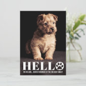 新しい子犬の子ネコの採用の発表の写真カード 招待状 (スタンド正面)