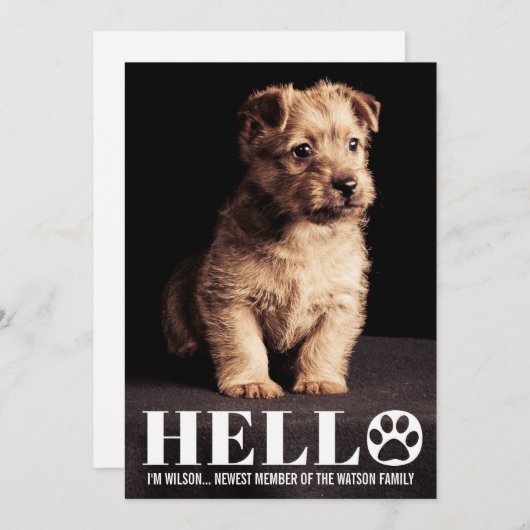 新しい子犬の子ネコの採用の発表の写真カード 招待状 (正面/裏面)