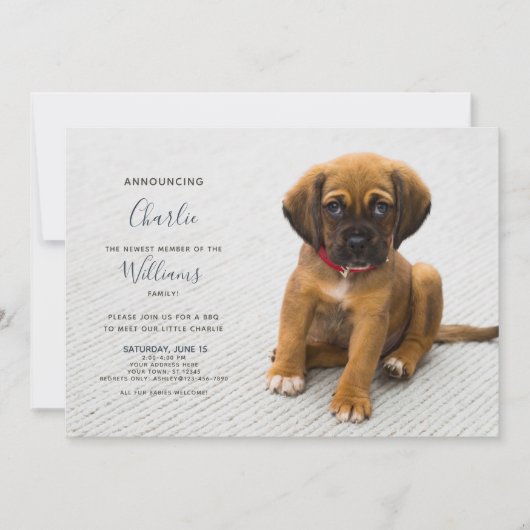 新しい子犬の子猫の養子縁組の発表写真 招待状 (正面)