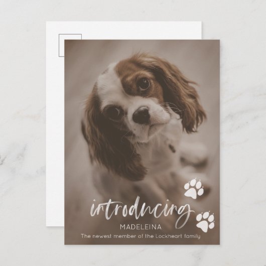 新しい子犬または犬のお知らせ、ペットの里親募集カード ポストカード (正面/裏面)