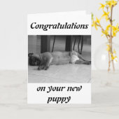 新しい子犬 カード (黄色い花)