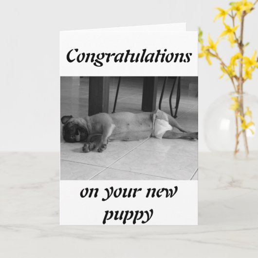 新しい子犬 カード (黄色い花)