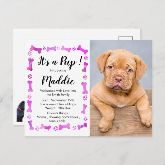 新しい子犬 – ピンクガール新しいペット – 犬の誕生日子犬 案内ポストカード (正面/裏面)