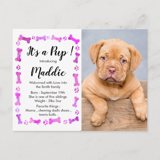 新しい子犬 – ピンクガール新しいペット – 犬の誕生日子犬 案内ポストカード (正面)