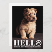 新しい子犬・子猫の里親募集！おしゃれな写真カード 招待状 (正面/裏面)