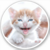 新しい子猫の円の形状の写真 シール (正面)