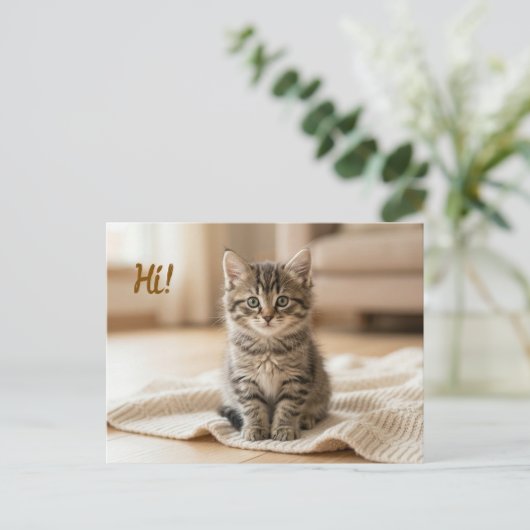 新しい子猫の写真のお知らせ ポストカード (スタンド正面)