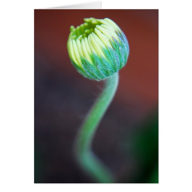 新しい季節 (正面)