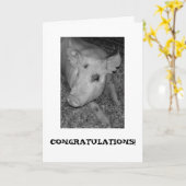 新しい家カード カード (黄色い花)