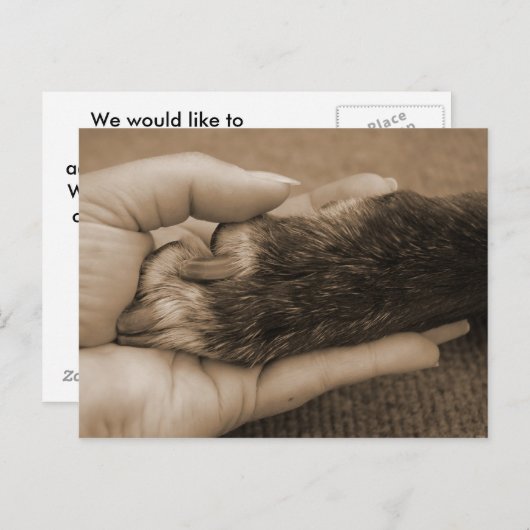 新しい家族の発表 案内ポストカード (正面/裏面)