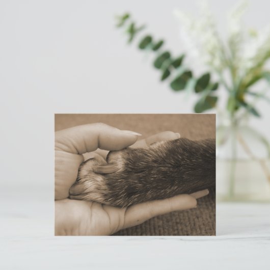 新しい家族の発表 案内ポストカード (スタンド正面)