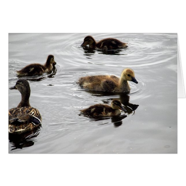 新しい家族 (正面横)