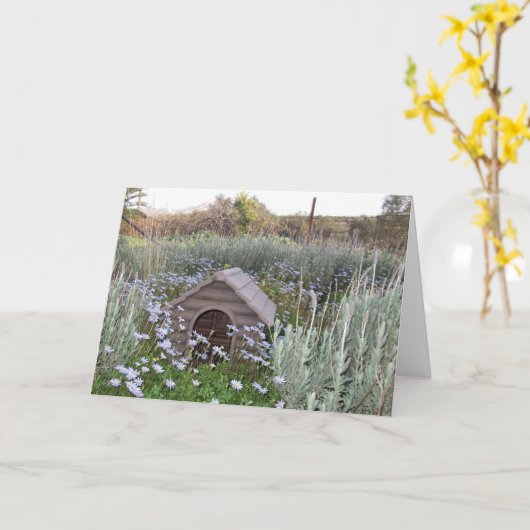 新しい家 カード (黄色い花)