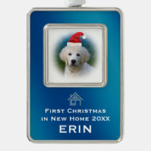 新しい家|ペット写真の青い初めてのクリスマス