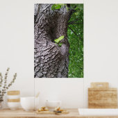 新しい小枝 ポスター (キッチン)