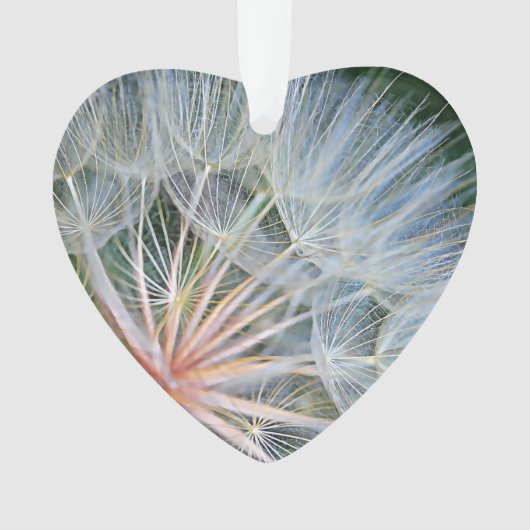 新しい希望を当てはめる オーナメント (正面)