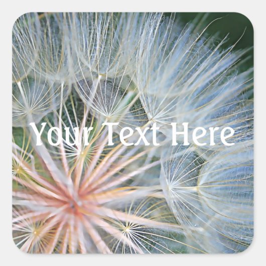 新しい希望を当てはめる スクエアシール (正面)