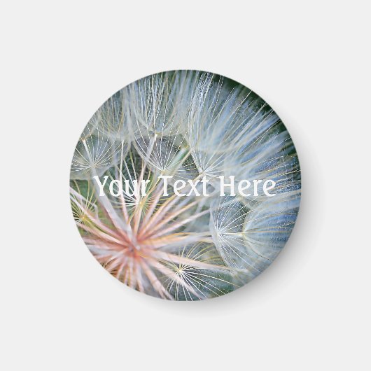 新しい希望を当てはめる マグネット (正面)