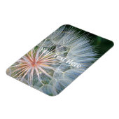 新しい希望を当てはめる マグネット (左側)