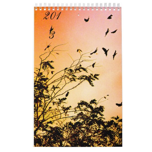 新しい希望 カレンダー (カバー)