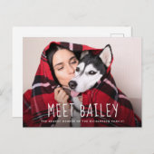 新しい愛犬 |シンプルの写真のお知らせ インビテーションポストカード (正面/裏面)