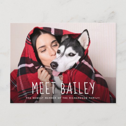 新しい愛犬 |シンプルの写真のお知らせ インビテーションポストカード (正面)