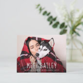 新しい愛犬 |シンプルの写真のお知らせ インビテーションポストカード (スタンド正面)