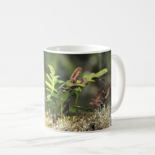 新しい成長ファーンモス自然愛好家グリーンプラント コーヒーマグカップ (正面右)
