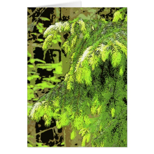 新しい成長 (正面)