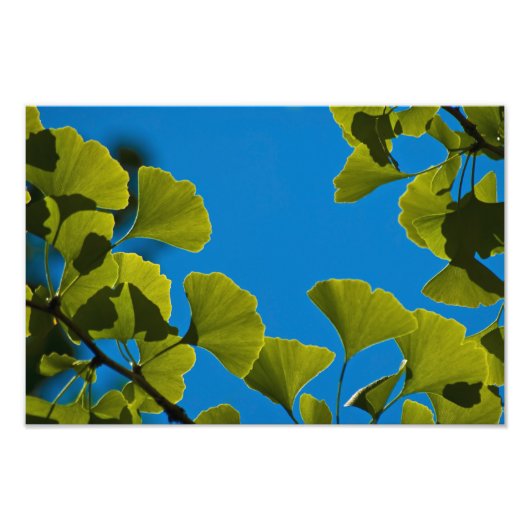 新しい成長。 フォトプリント            (正面)