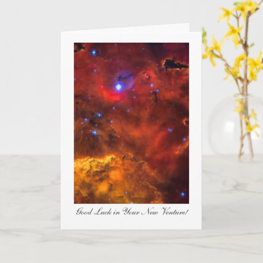 新しい投機の運- カード (黄色い花)