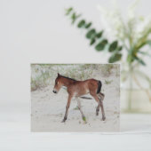 新しい日 ポストカード (スタンド正面)