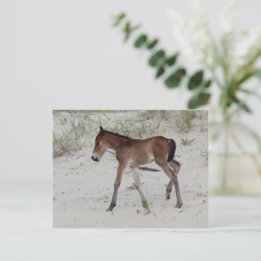 新しい日 ポストカード (スタンド正面)