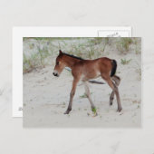 新しい日 ポストカード (正面/裏面)