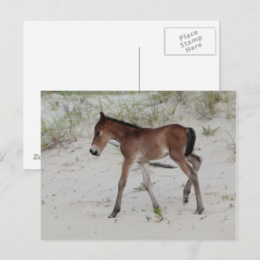 新しい日 ポストカード (正面/裏面)