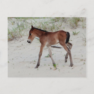 新しい日 ポストカード