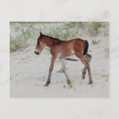 新しい日 ポストカード (正面)