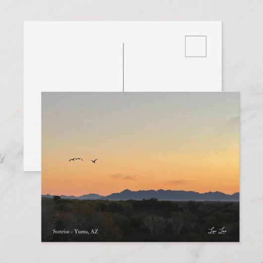 新しい日 ポストカード (正面/裏面)