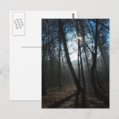 新しい日 ポストカード (正面/裏面)