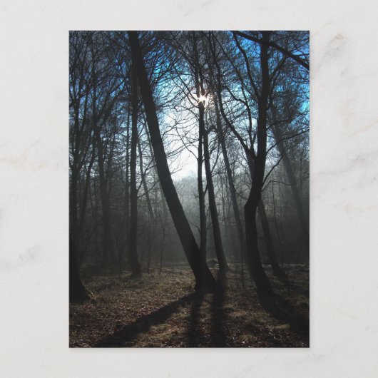 新しい日 ポストカード (正面)