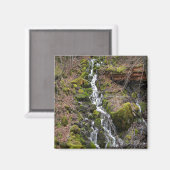 新しい春..... マグネット (正面/裏面)