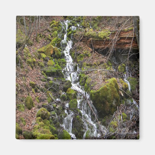 新しい春..... マグネット (正面)